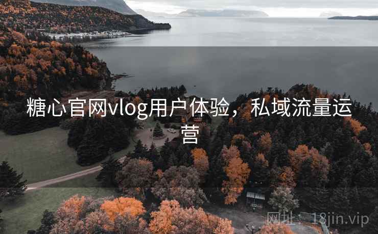 糖心官网vlog用户体验,私域流量运营